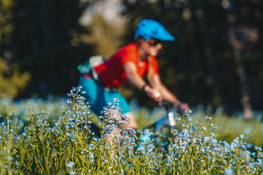 Vélo nature Alsace