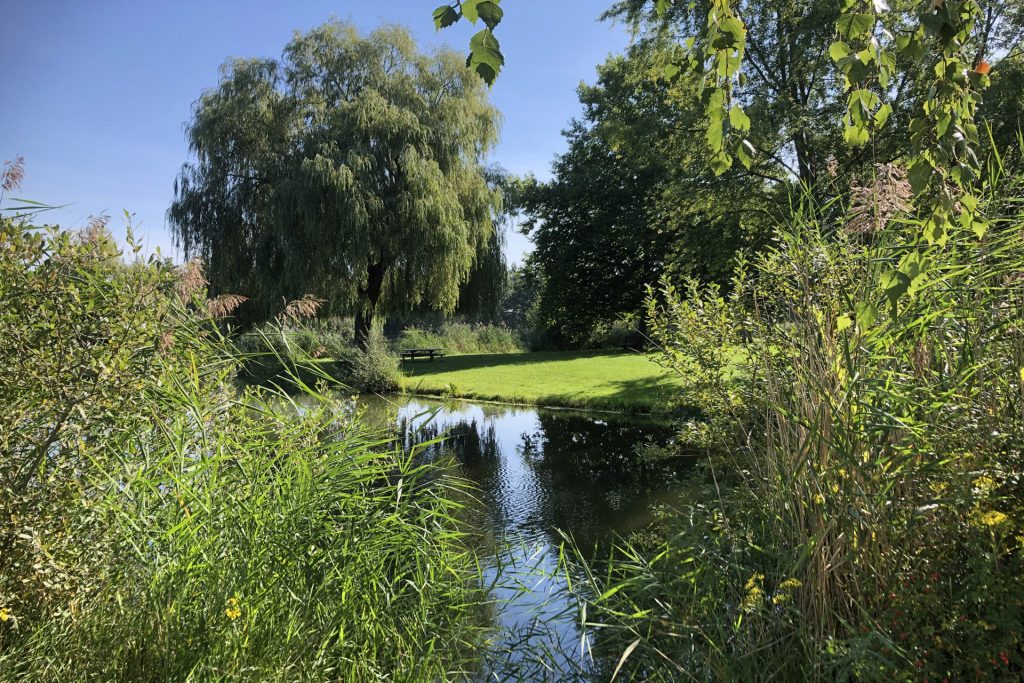 Camping Coeur d'Alsace : étang de pêche et verdure