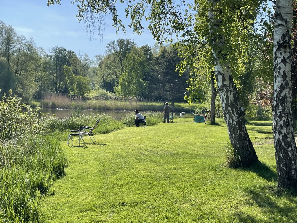 Camping Cœur D'alsace 