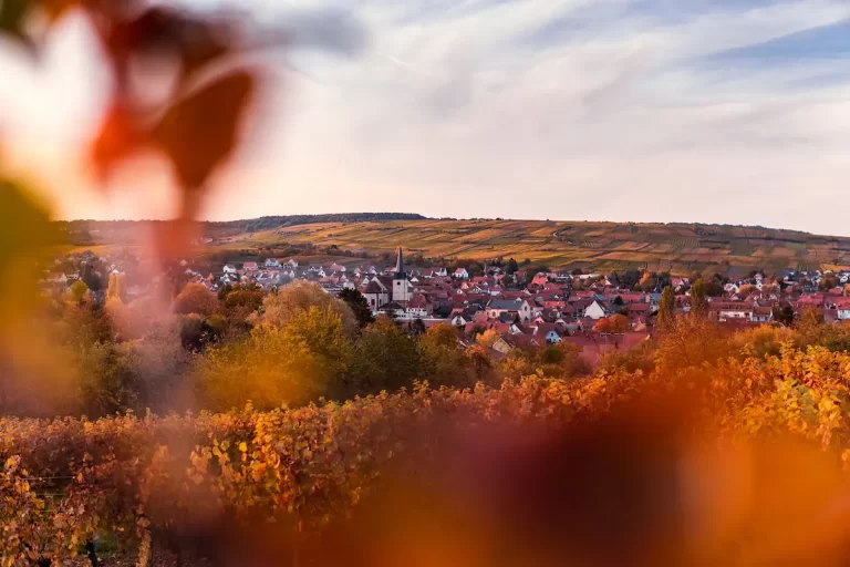 Camping coeur d'Alsace : Découvrir l'Alsace et ses vignobles à vélo lors de votre séjour
