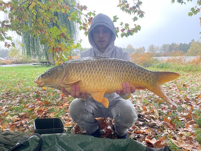 Camping Cœur D'alsace