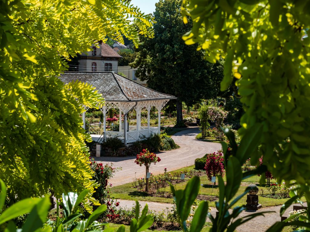 roseraie de saverne près du camping coeur d'alsace