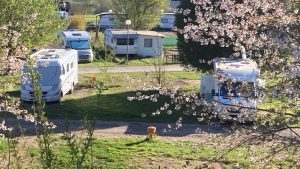 Camping Cœur D'alsace : 71387ab0 3b54 4e12 B5f0 909d957cdf24