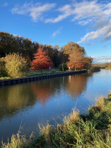 Camping Cœur D'alsace : Img 1716