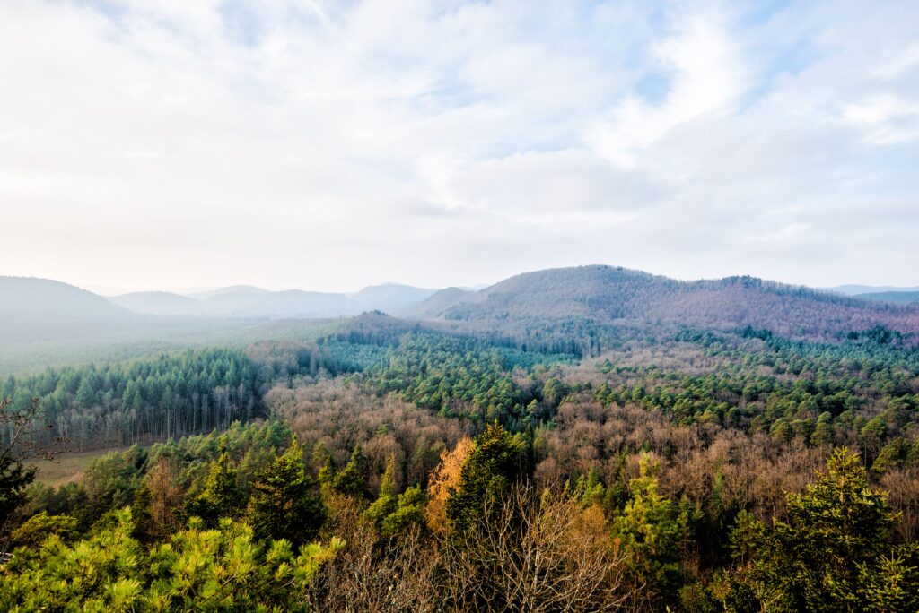Parc Naturel Régional des Vosges du Nord pour visiter l'alsace en camping car 